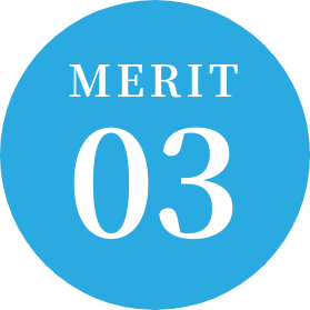 merit3